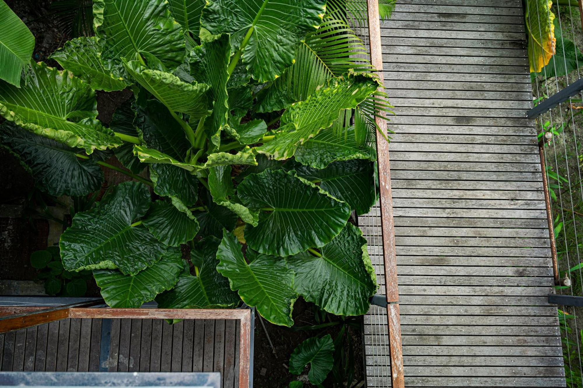 Hotel Tilar Siro Andamans - A Cgh Earth Experience à Govind Nagar Extérieur photo